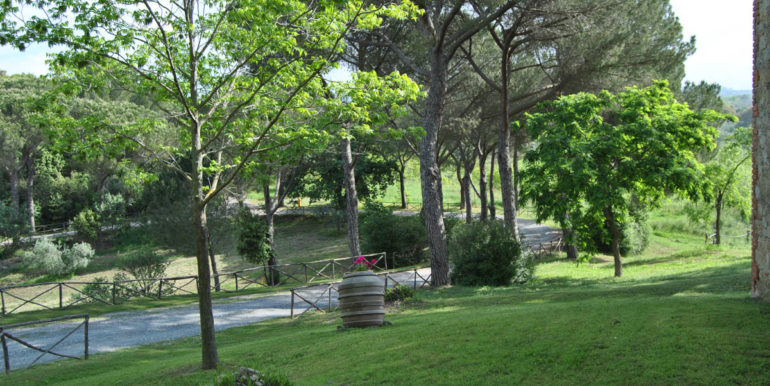 vendita agriturismo poggio oliveto matremma toscana - concetta relli luxury real estate 03b