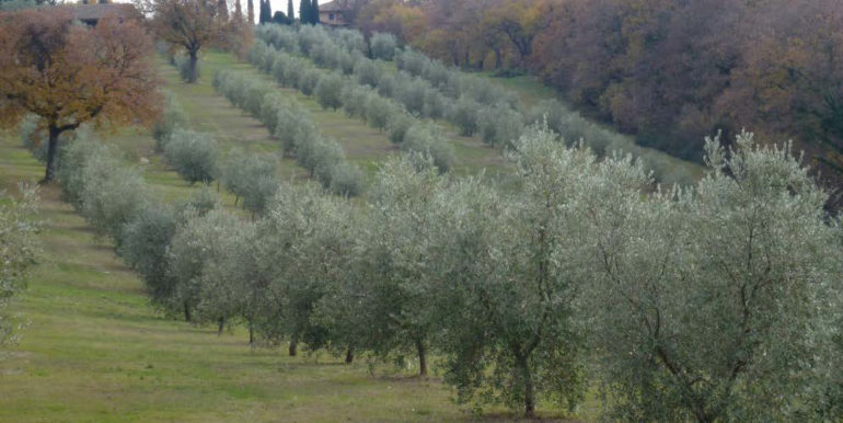 PROPRIETÀ LOCALITÀ STERPETI 9/a