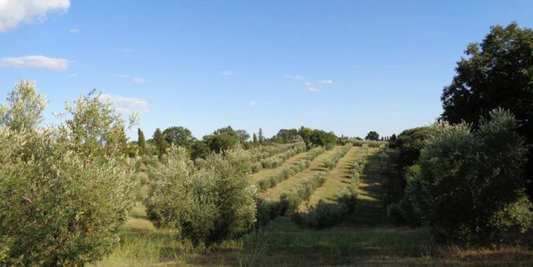 PROPRIETÀ LOCALITÀ STERPETI 9/a