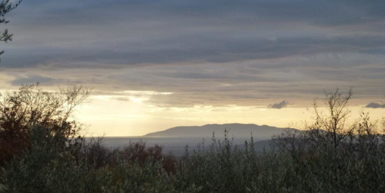 PROPRIETÀ LOCALITÀ STERPETI 9/a