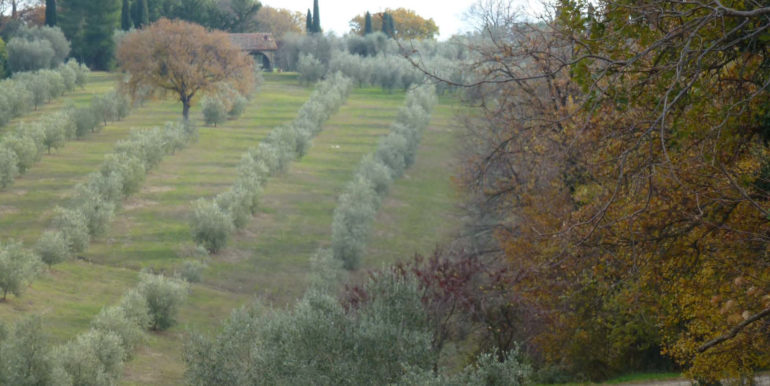 PROPRIETÀ LOCALITÀ STERPETI 9/a