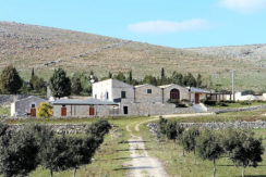 vendita masseria puglia altamura concetta relli