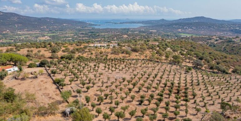 Villa a Rudalza, Olbia (Costa Smeralda) - Concetta Relli Luxury Real Estate 2